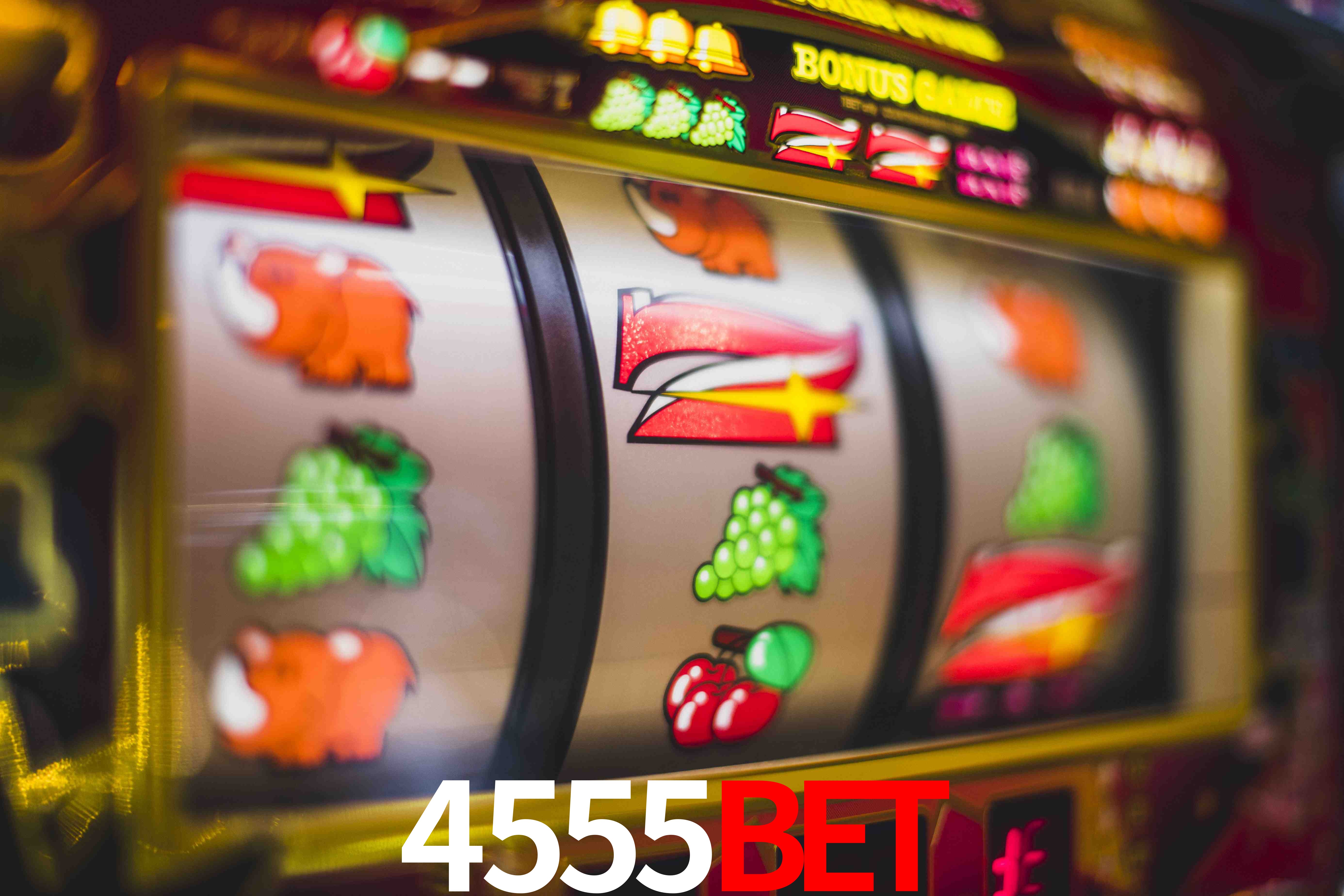 Crash Games Statistics 4555bet
